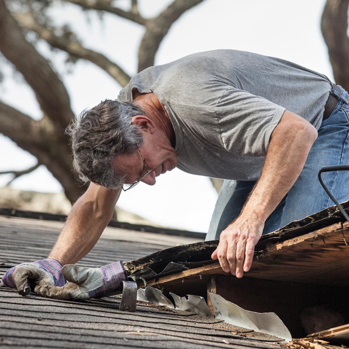 Roof Repairs