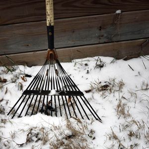 A metal rake stands partially buried in snow, surrounded by patches of yellowed grass, against a backdrop of weathered wooden boards.