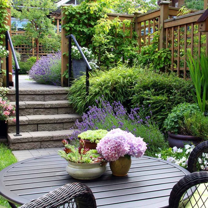 A wooden table with potted flowers sits in a vibrant garden, featuring lush greenery and a stone pathway leading through blooming lavender and plants.