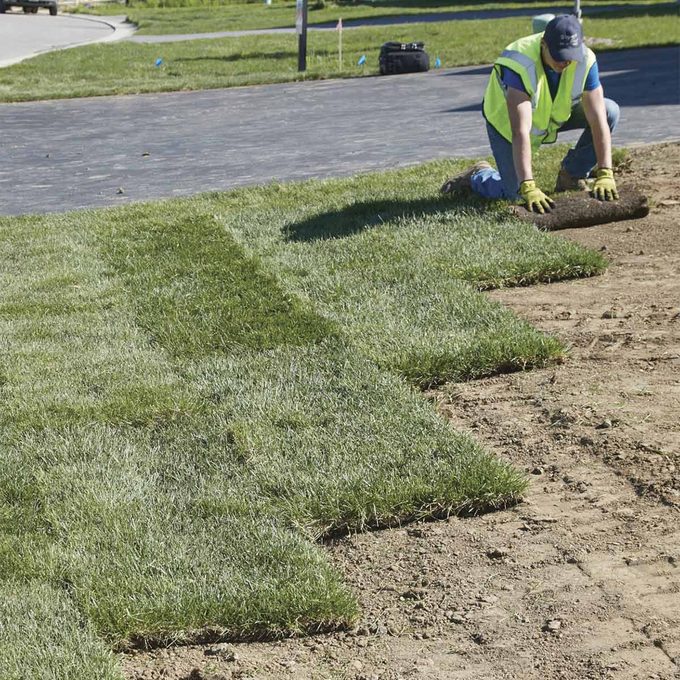 A man lays down rolls of sod on bare soil in a residential area, surrounded by freshly cut grass and pathways.