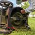 10 Lawn Care Myths You Really Need To Stop Believing