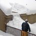 The 5 Best Roof Snow Rake Picks for Ice Removal, Tested by a Snow Expert