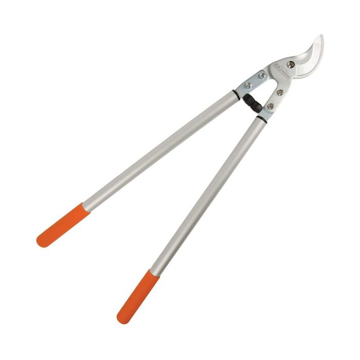 A pair of garden shears with orange rubber grips and silver metal blades rests horizontally, intended for trimming plants in a gardening context.