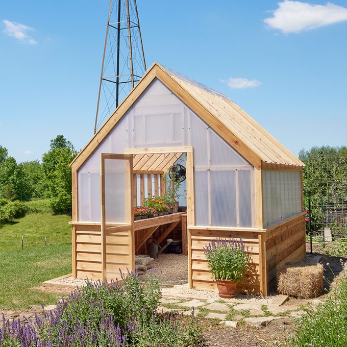 A wooden greenhouse with an open door displays potted flowers inside, surrounded by greenery, gravel paths, and lavender plants under a clear blue sky.